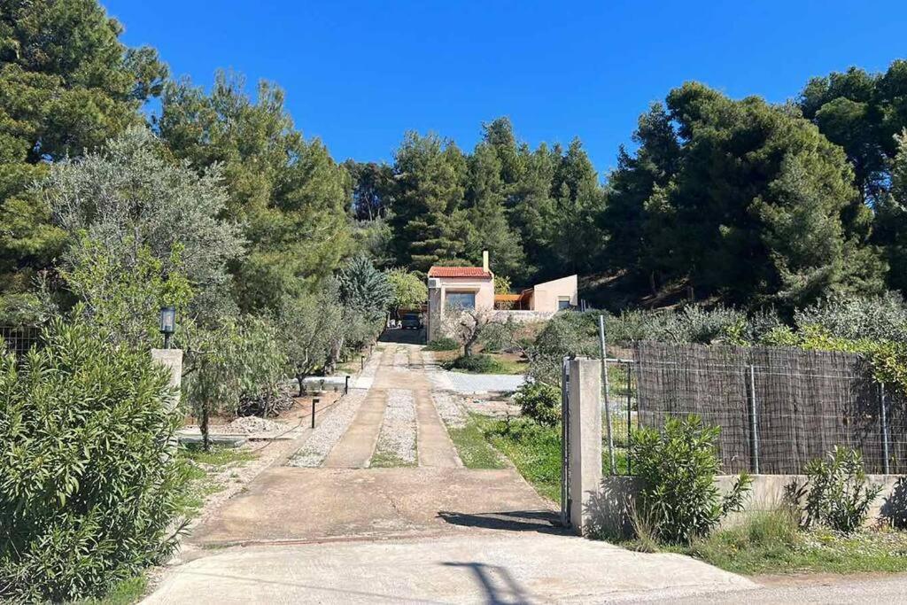 Askalosia Villa Áyios Yeóryios Exterior foto